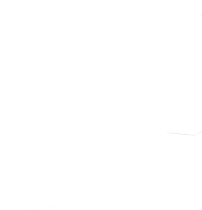 Logo A1 - Success Story zu Financial Planning & Forecasting