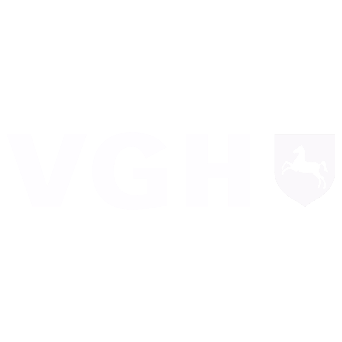 VGH logo white